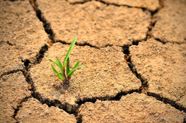 خشکسالی به شمال ایران رسید! / افزایش رشد بیابان در گلستان