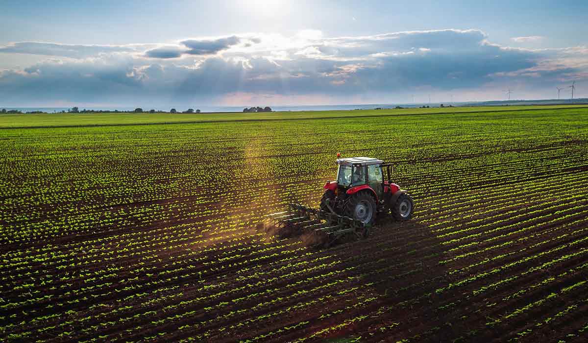 حجم سرمایه گذاری بخش کشاورزی در سال آینده افزایش  می یابد