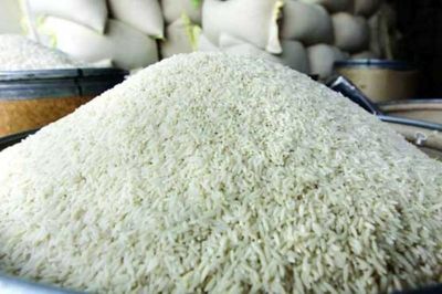 واردات بیش از ۵۵۰ میلیون دلاری برنج به کشور