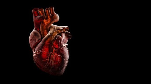 ویروس کرونا چگونه بر قلب تأثیر می‌گذارد؟