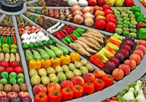 صادرات محصولات کشاورزی ایران به روسیه متوقف نشده است