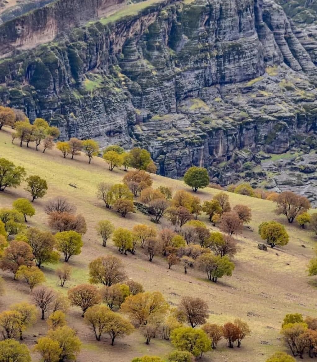 مخمل کوه استان لرستان + عکس