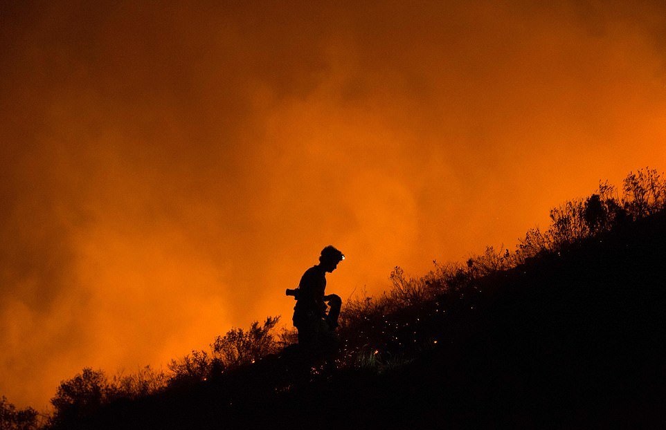 آتش‌سوزی مهیب جنگل در کنار منطقه مسکونی +تصاویر