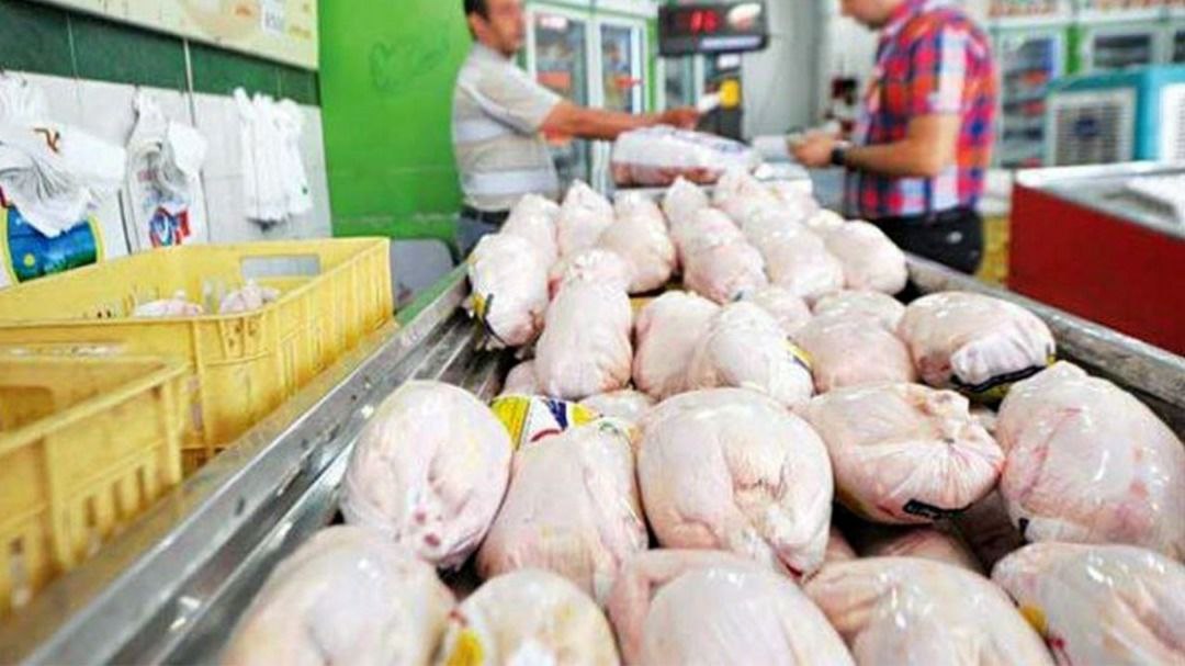 پرداخت ۳۰۰ میلیارد تومان تسهیلات به تشکل ها برای خرید مرغ مازاد/ بهره تسهیلات مرغ را گران نمی کند