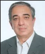 محمود  مجيب