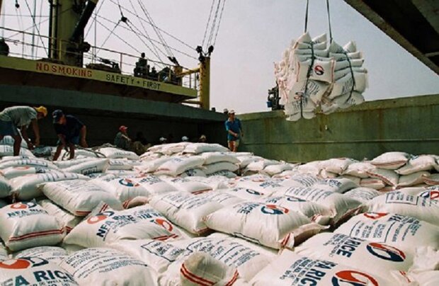 صدور دستور ترخیص فوری محموله ۱۶ هزار تنی برنج در بندر شهید رجایی