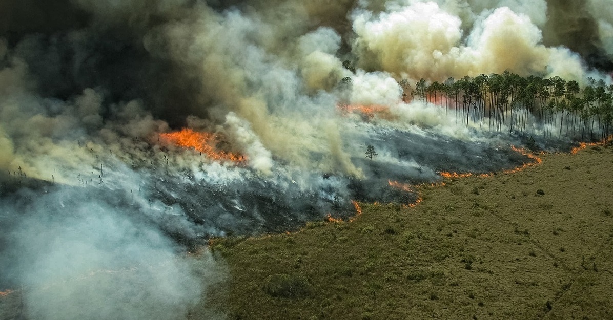 آتش سوزی وحشتناک در جنگل های آمازون + فیلم