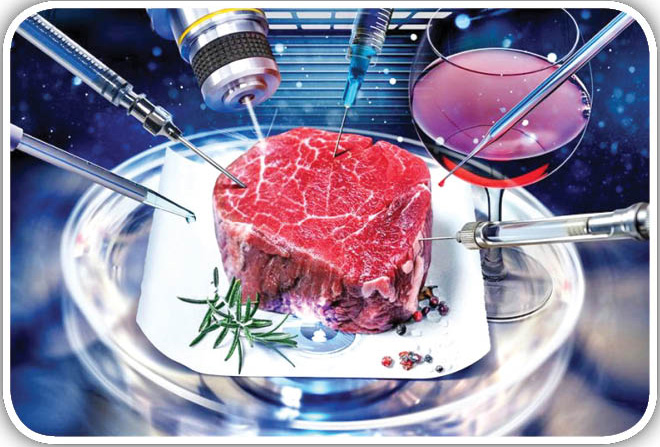 تولید گوشت آزمایشگاهی جدی تر می شود؟
