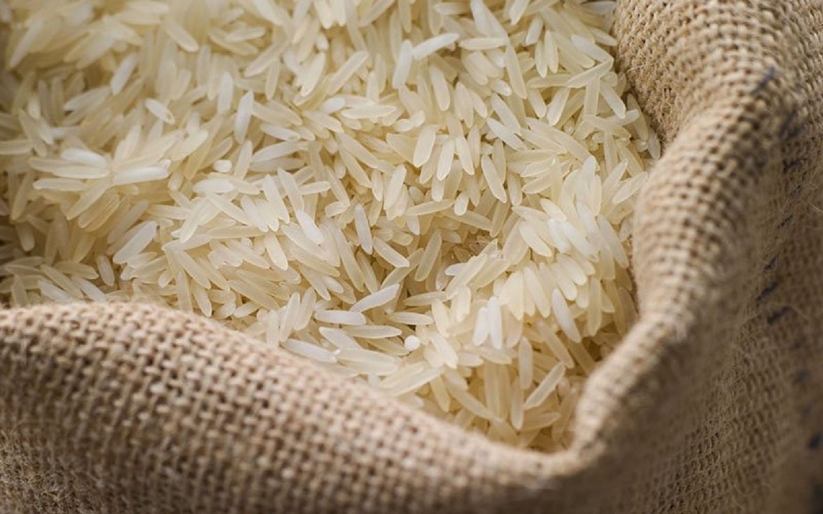 شیوه صحیح نگهداری برنج خام در فصول مختلف