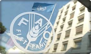 فائو: تعداد کشورهای نیازمند به کمک‌های غذایی افزایش یافت