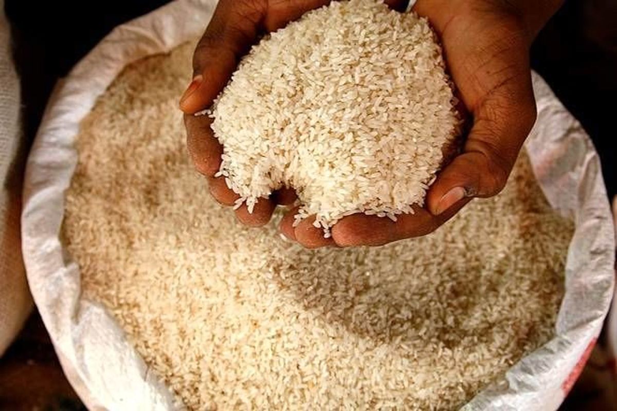 برنج ایرانی در آستانه عید کیلویی چند؟ + جدول قیمت