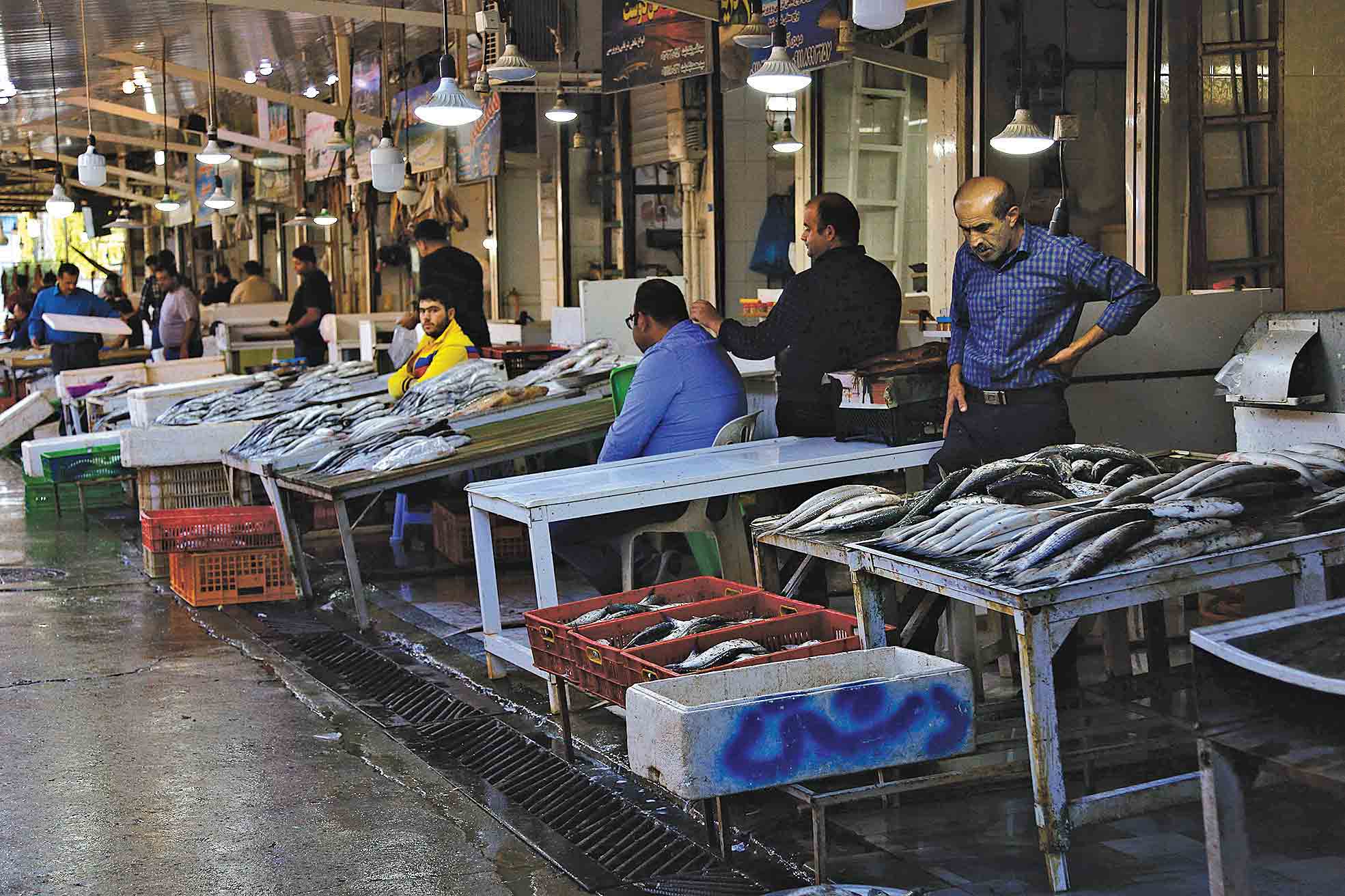 بازار ماهی فروشان گیلان در انتظار رونق