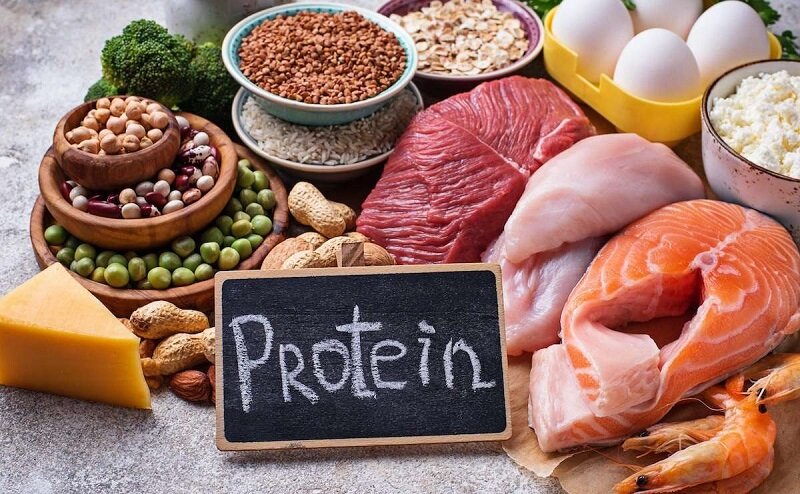 چرا باید مصرف پروتئین را بیشتر کنید؟