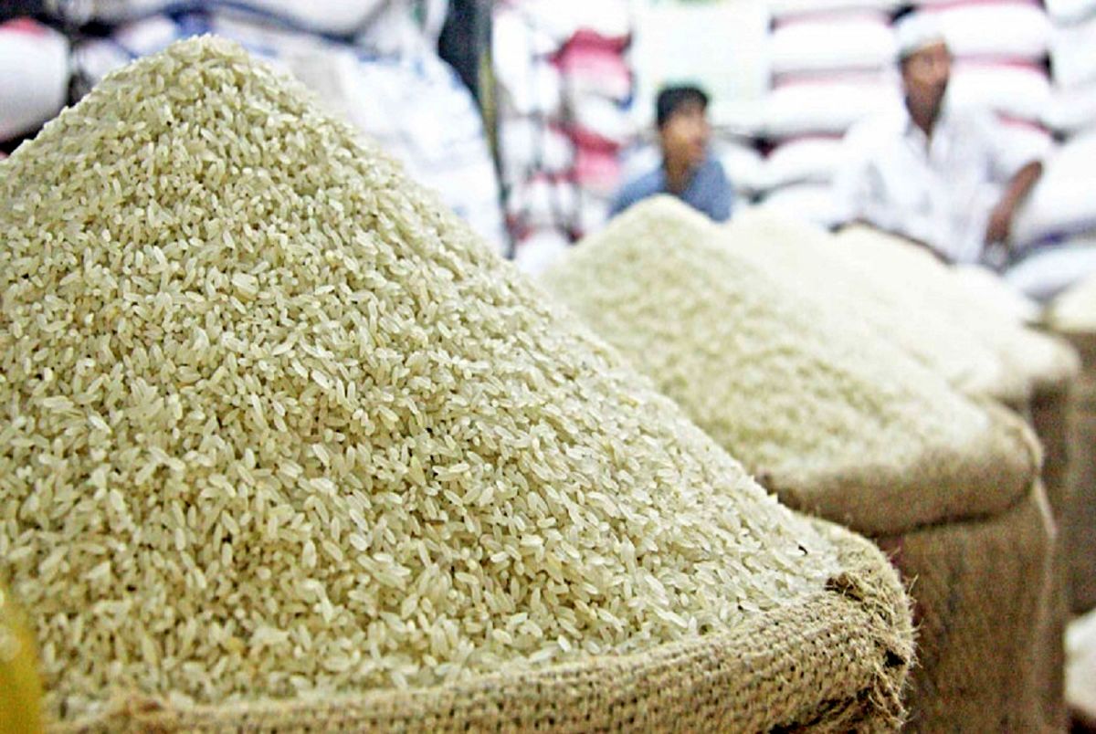 قیمت روز برنج ایرانی / نیم دانه هاشمی کیلویی چند؟ + جدول