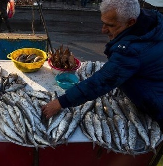 چوب زنی ماهیان خزر در شنبه بازار انزلی +تصاویر