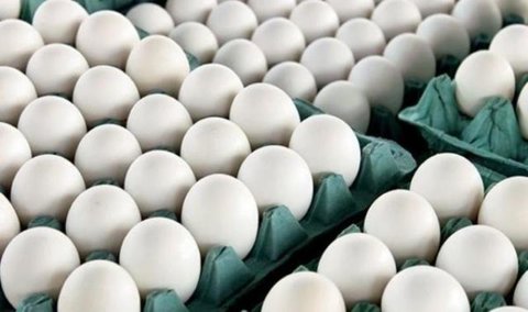 تصمیم عجیب مسئولان برای واردات تخم مرغ با وجود مازاد تولید / تخم مرغ‌ها بالاتر از نرخ داخلی از مرغداران ترکیه‌ای خریداری می‌شود
