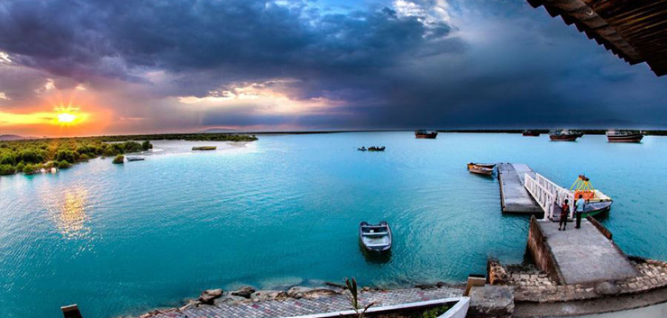جنگل دریایی حرا در میان آب‌های خلیج‌فارس + عکس
