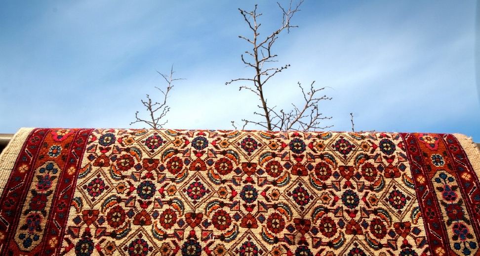 قالیشویی غیر مجاز فرش ۱۰۰میلیونی را دزدید