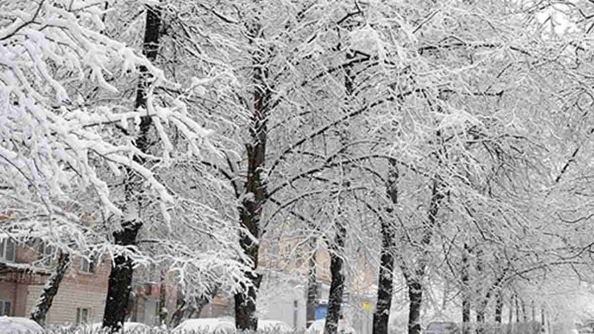 پیش بینی بارش برف و باران برای ۱۰ استان