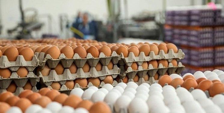 روند رو به افزایش مصرف تخم مرغ با گرانی مرغ و گوشت قرمز 
