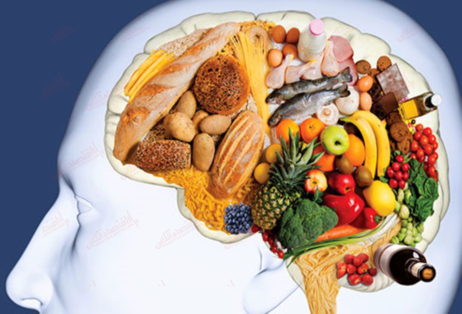 ۱۱ مورد از بهترین غذا‌ها برای تقویت مغز و حافظه