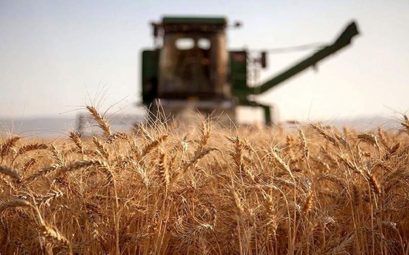 جنگ روسیه و اوکراین گرسنگان خاورمیانه را افزایش می دهد