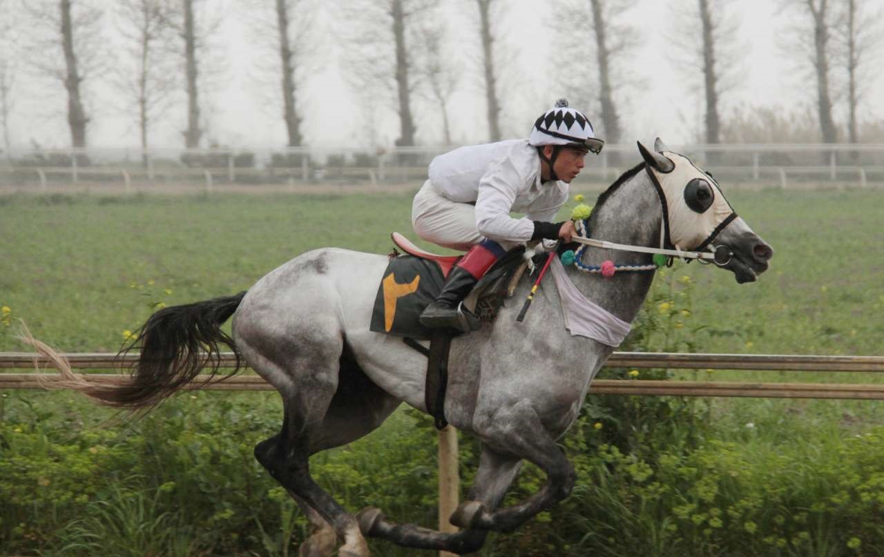زین اسب ایرانی با قدمت ١٢٠ساله +عکس