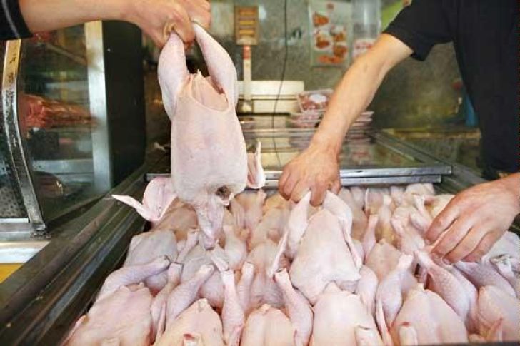 برای کاهش فشار به مردم از افزایش قیمت مرغ در ماه رمضان جلوگیری شد / قیمت مصوب جدید مرغ چقدر خواهد بود؟ 