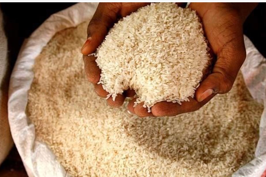 برنج ایرانی و پاکستانی کیلویی چند؟ + جدول