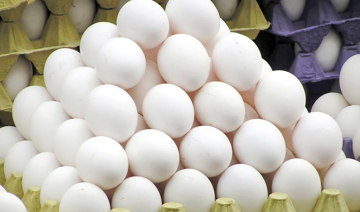 تخـــم طـلا؛ چرا قیمت تخم‌مرغ افزایش یافت؟