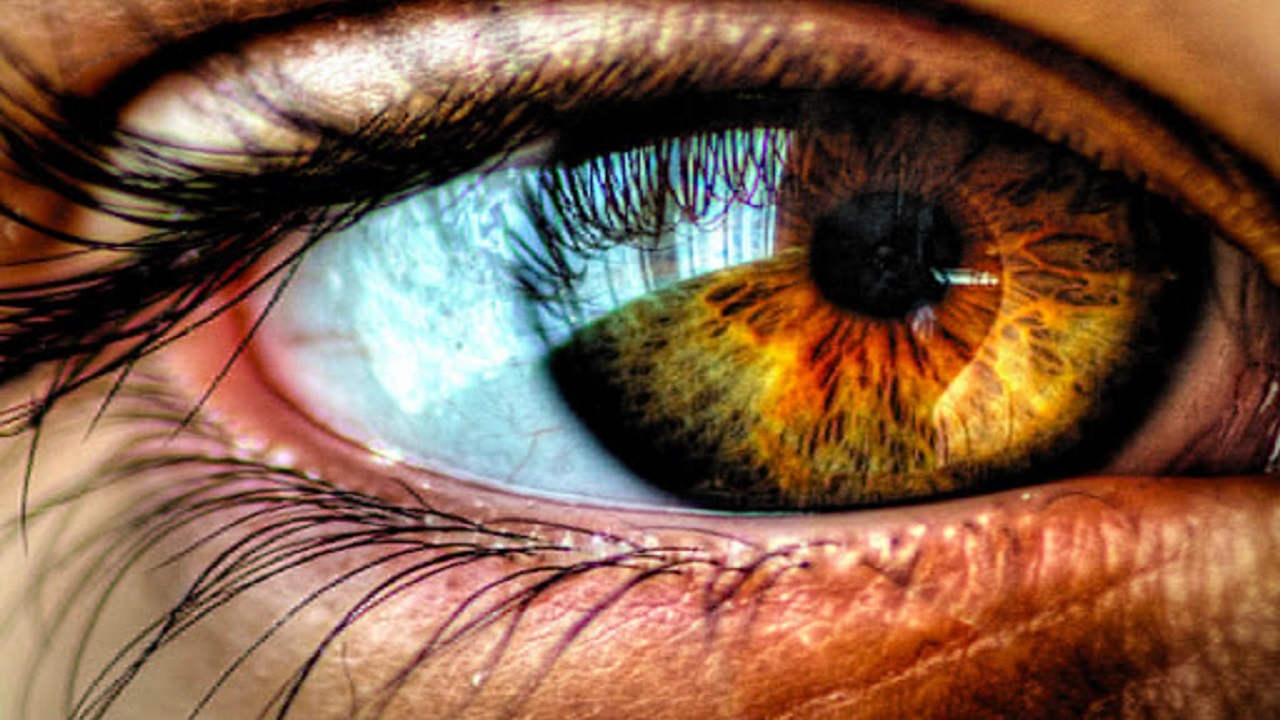 درمان بیماری نادر چشمی به کمک یک ژن