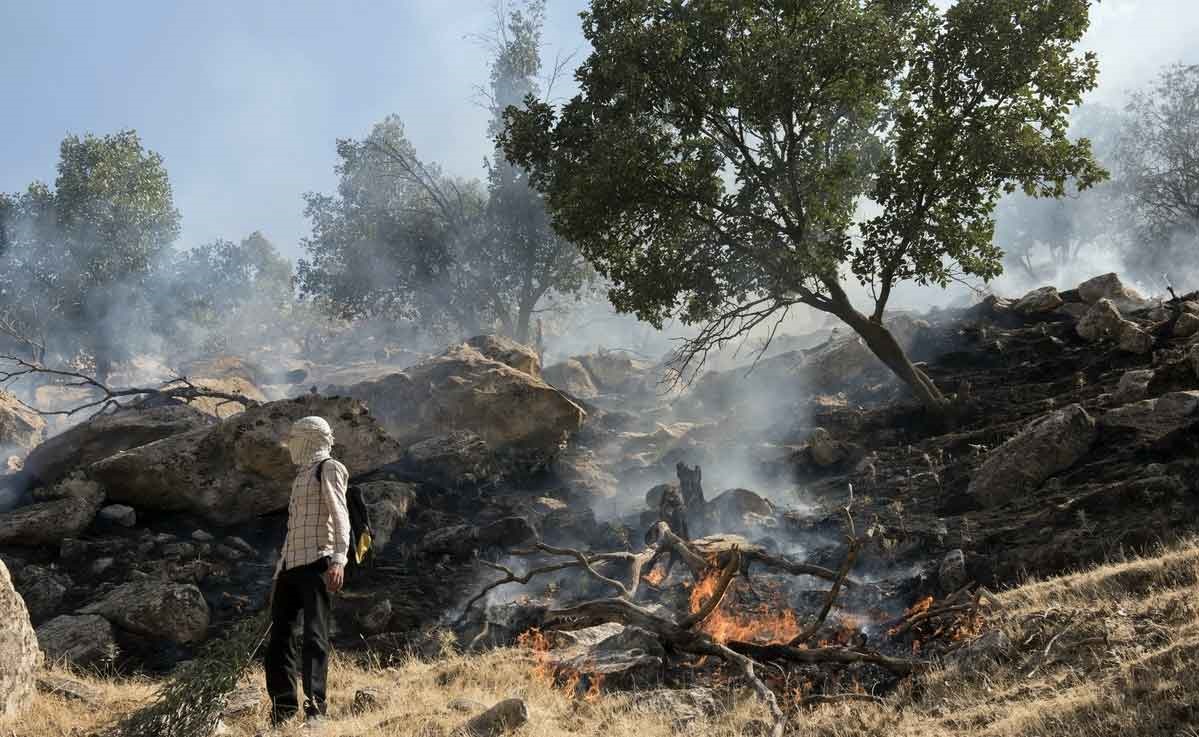 درخواست 10سال حبس برای عاملان آتش‌سوزی جنگل‌ها و مراتع