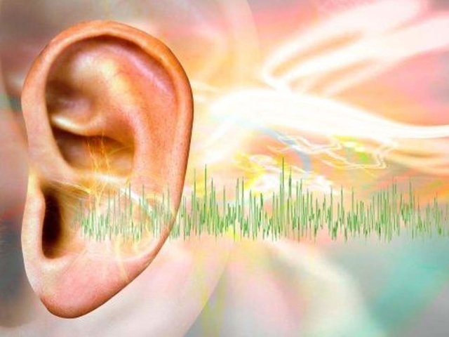 کشف نورون‌های جدید برای درمان وزوز گوش