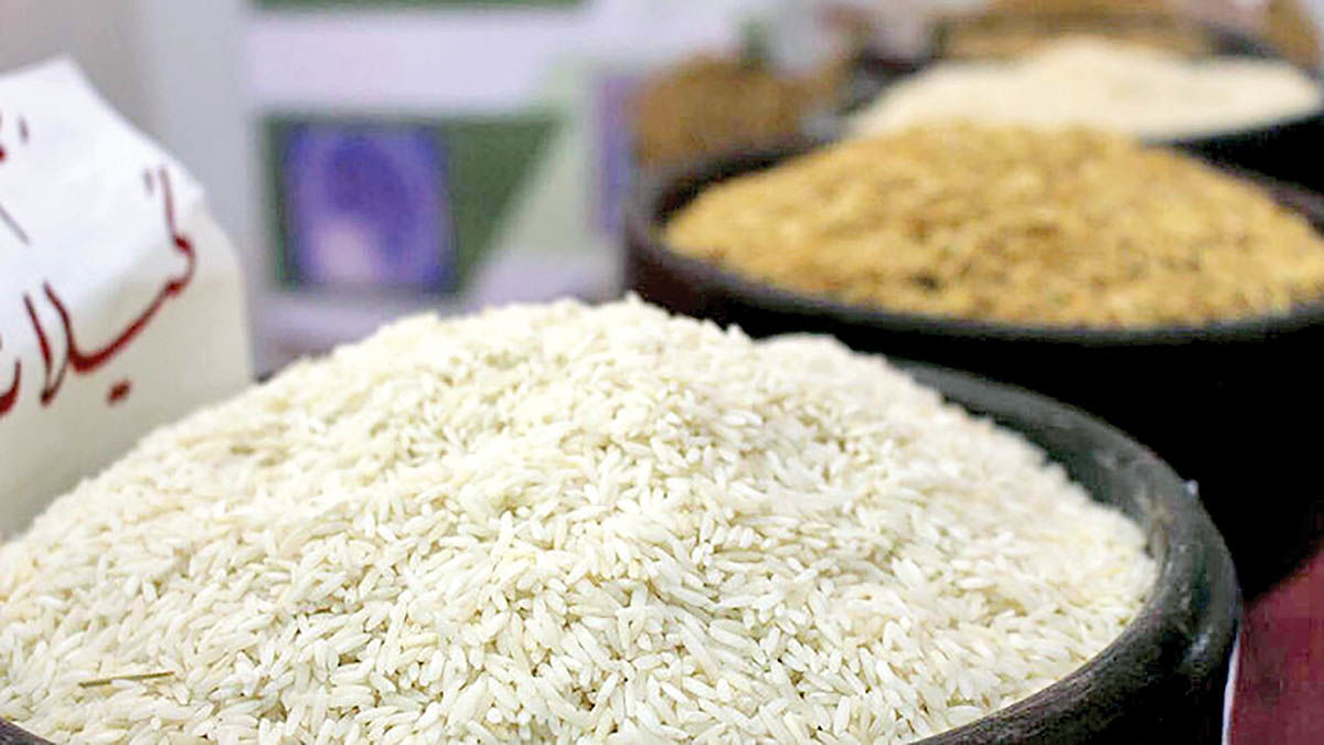 دلالان دلیل گرانی برنج هستند