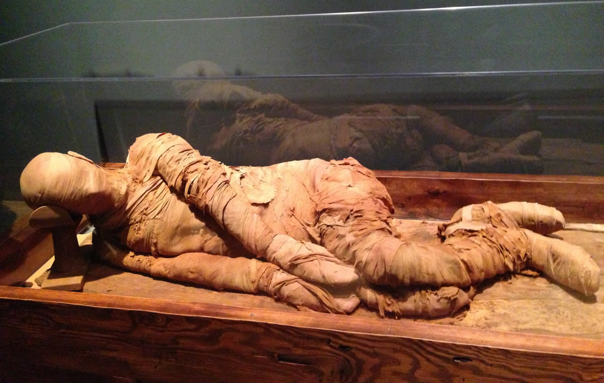 راز مومیایی کردن اجساد در مصر باستان فاش شد