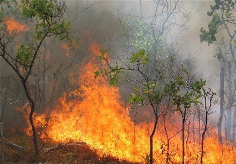 گسترش آتش‌سوزی در جنگل توسکستان گرگان