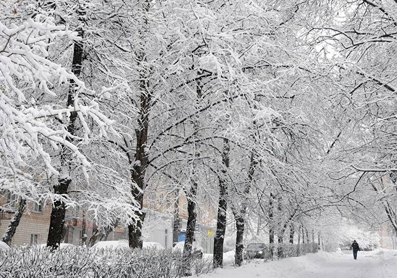ارتفاع برف در همدان به نیم متر رسید / سردترین مرکز استان کشور با دمای منفی ۱۲ درجه