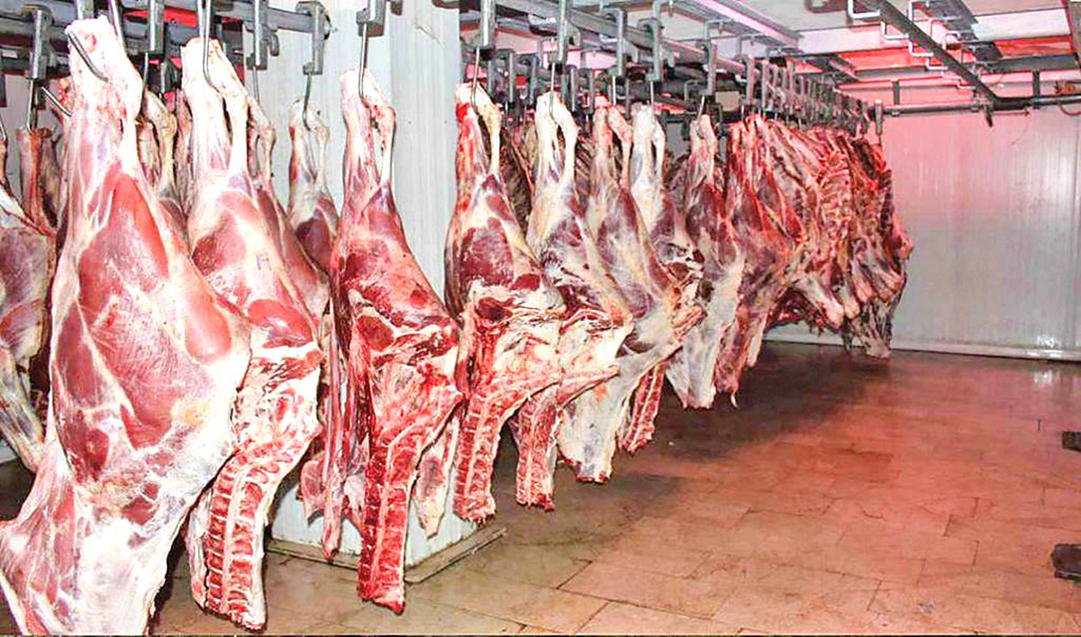 قیمت روز گوشت قرمز / سردست گوسفندی کیلویی چند؟