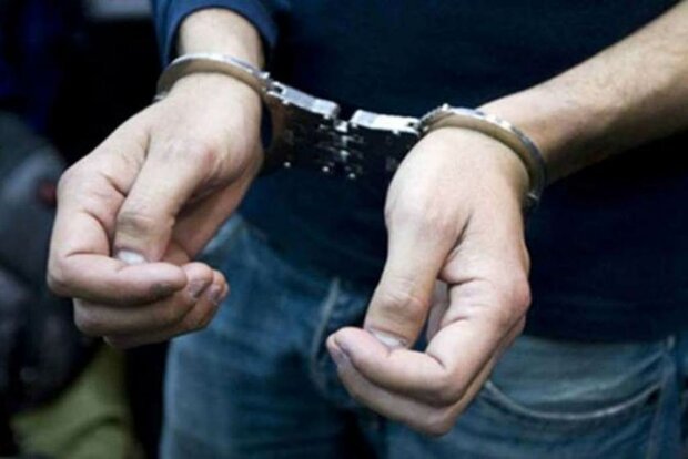 دستگیری ۶۶سارق حرفه‌ای در تهران