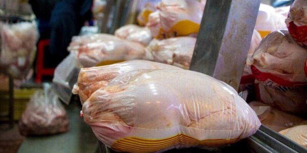توزیع روزانه ۸ هزار تن مرغ در کشور