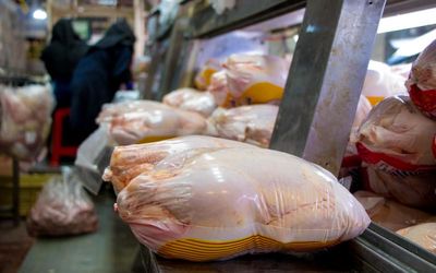 مرغ با نرخ ارز نیمایی وارد بازار می شود