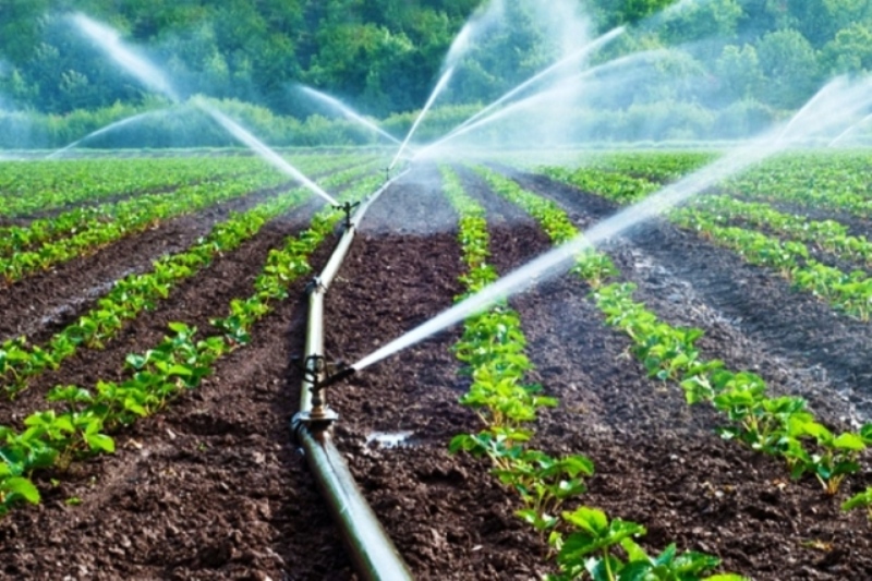  آب مصرفی کشت ۳۵ محصول کشاورزی اندازگیری شد