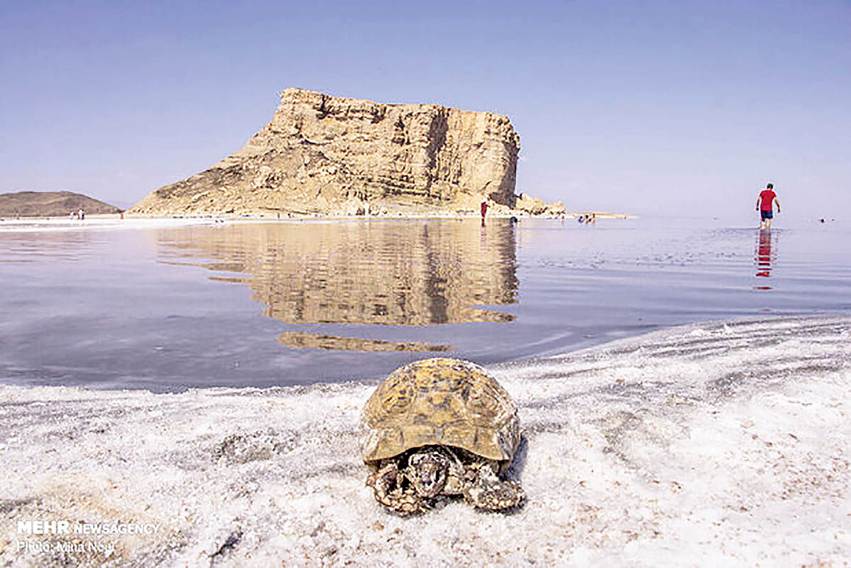 وضعیت دردناک دریاچه ارومیه + فیلم