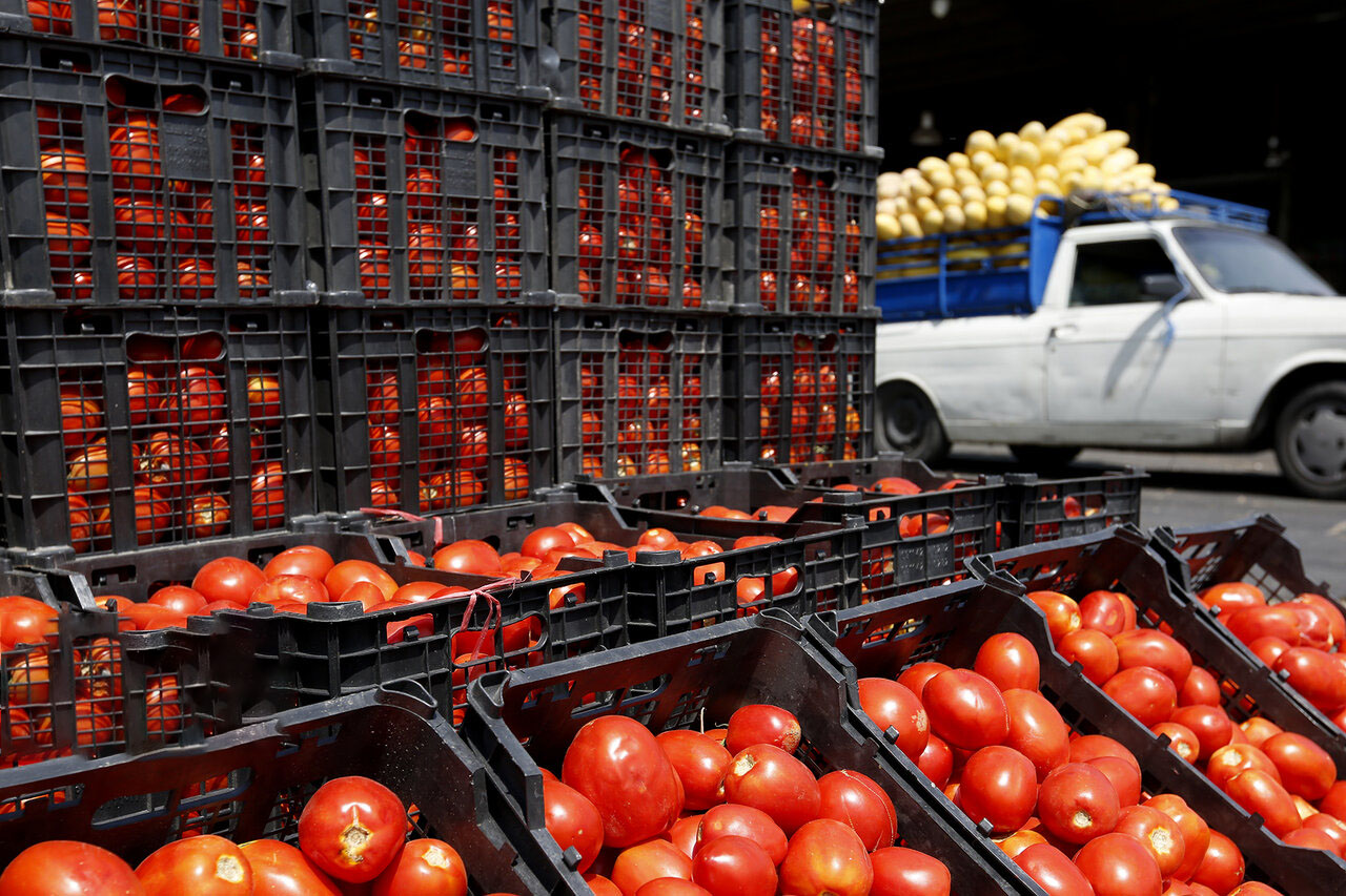 بیشترین افزایش قیمت آبان برای گوجه فرنگی و پیاز / تورم روغن علیرغم بیشترین افزایش قیمت سالانه، در آبان منفی بود