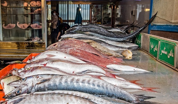 تسلط جالب ماهی فروش آبادانی به زبان انگلیسی  + فیلم