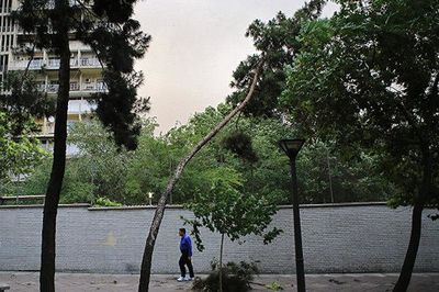وزش باد شدید و رگبار در تهران/ کاهش محسوس دما از امروز