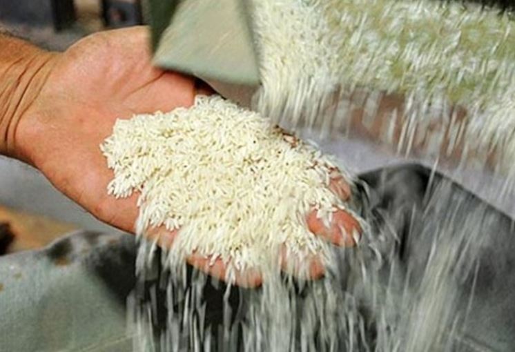 برنج ایرانی، پاکستانی و هندی کیلویی چند؟ + جدول قیمت