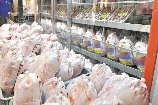 نگرانی از سلامت مرغ‌ های منجمد وارداتی