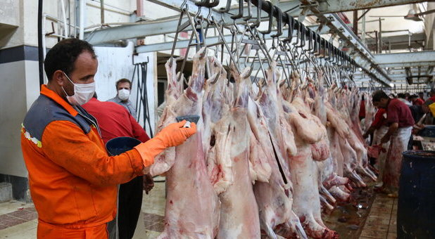 کاهش 18 درصدی عرضه گوشت قرمز در کشتارگاه‌ها