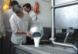 زیان دامداران در تولید شیر به مرز ۴ هزار تومان در هر کیلوگرم رسید/ کمبود و افزایش قابل توجه قیمت برخی از نهاده های خوراک دام 